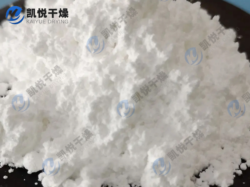 碳酸鋰盤式枯燥機